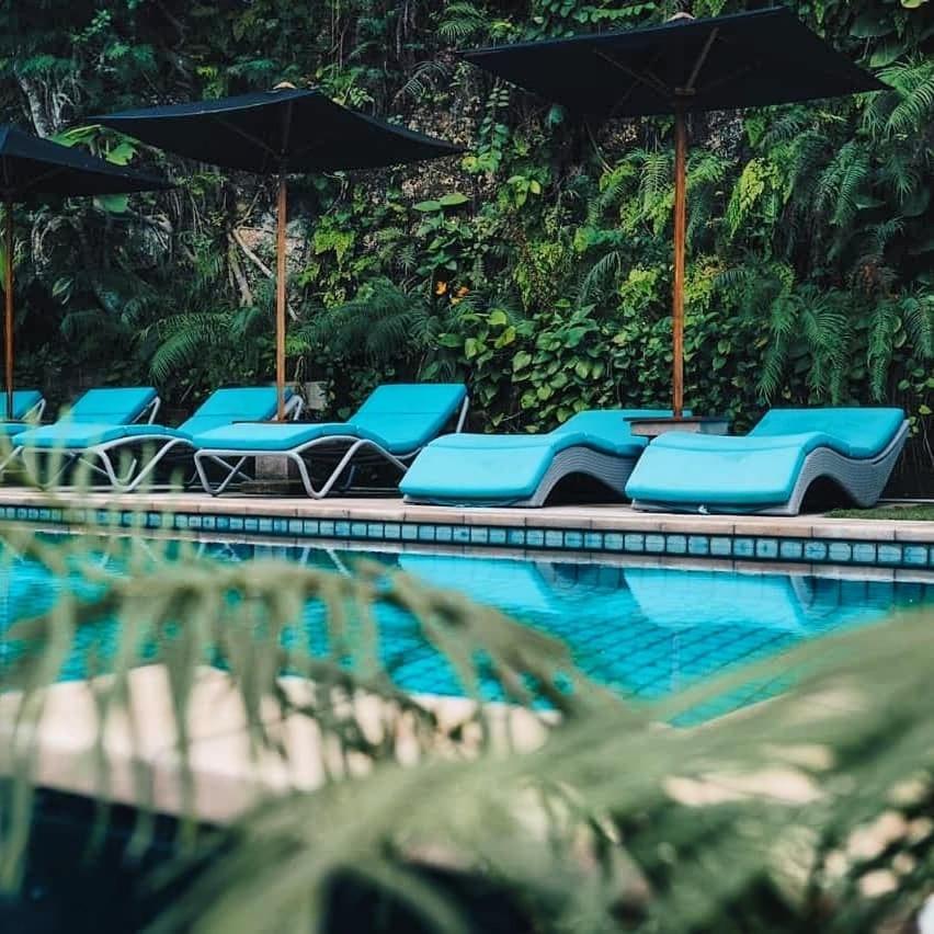 Javacove Beach Hotel Batukaras Extérieur photo